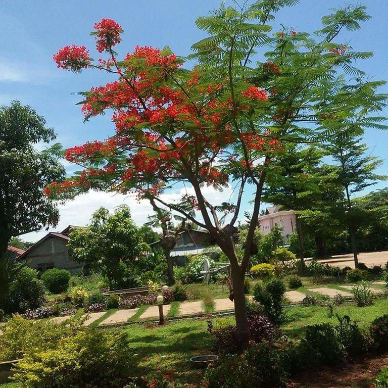 פקסה Xuanmai Garden Resort מראה חיצוני תמונה