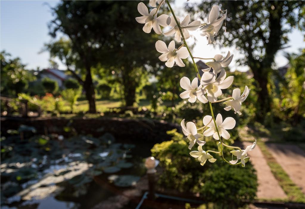 פקסה Xuanmai Garden Resort מראה חיצוני תמונה
